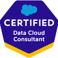 Zertifikat Data Cloud Consultant